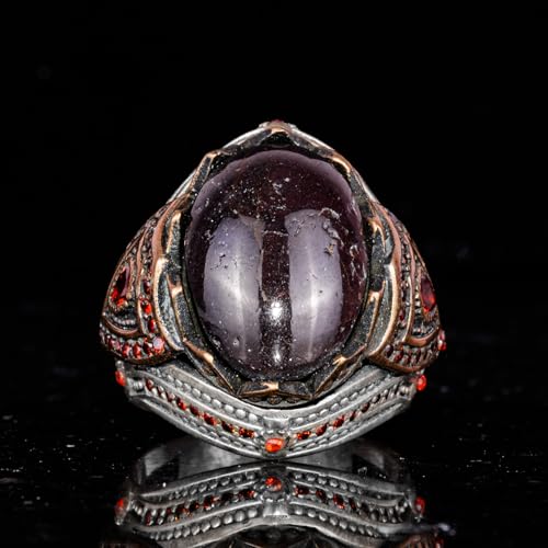 925 Ayar Gümüş Erkek Yüzük ile Doğal Yıldız Granat Taş (Model-2)